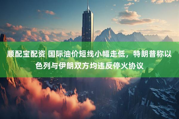 顺配宝配资 国际油价短线小幅走低，特朗普称以色列与伊朗双方均违反停火协议
