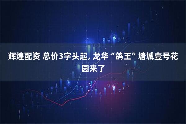 辉煌配资 总价3字头起, 龙华“鸽王”塘城壹号花园来了